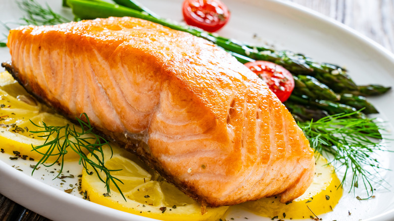 Salmon